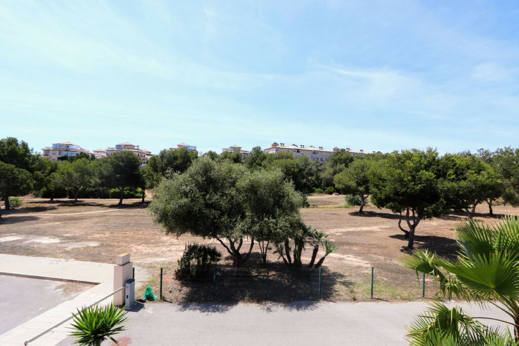 Detached Villa La Zenia Alicante - image 28