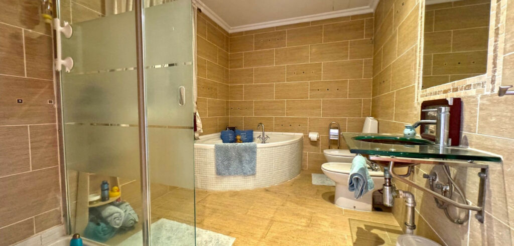 Detached Villa Torrevieja Alicante - image 28