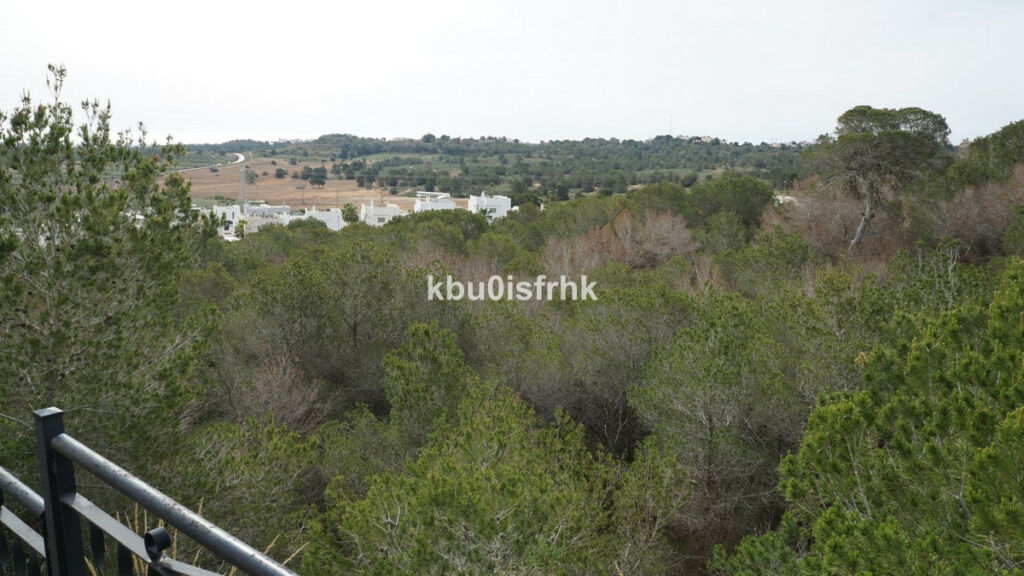 Detached Villa San Miguel de Salinas Alicante - image 28