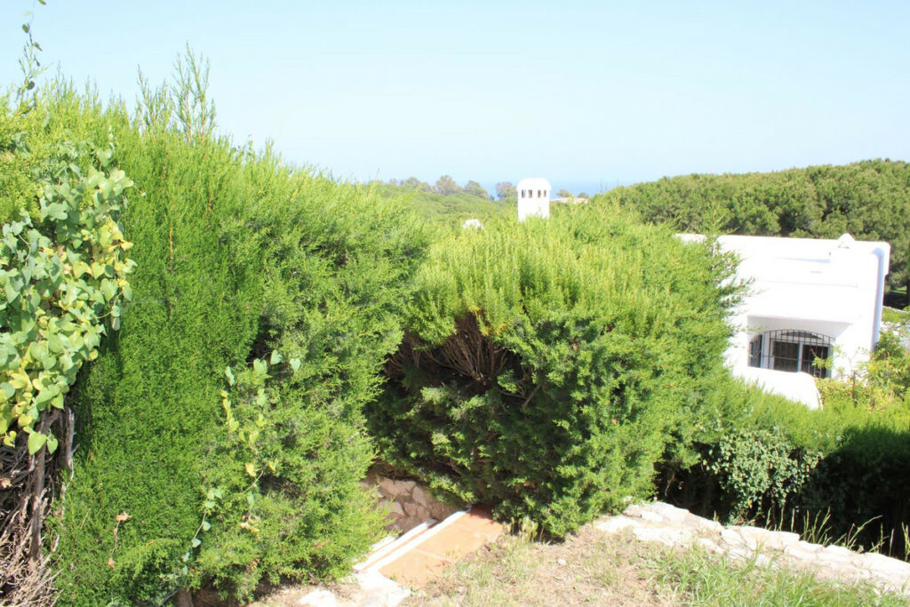 Semi-Detached House Cabopino Málaga - image 29