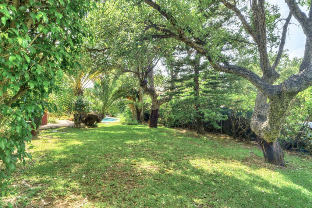 Detached Villa El Rosario Málaga - image 29
