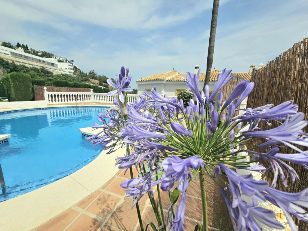 Semi-Detached House Mijas Málaga - image 29