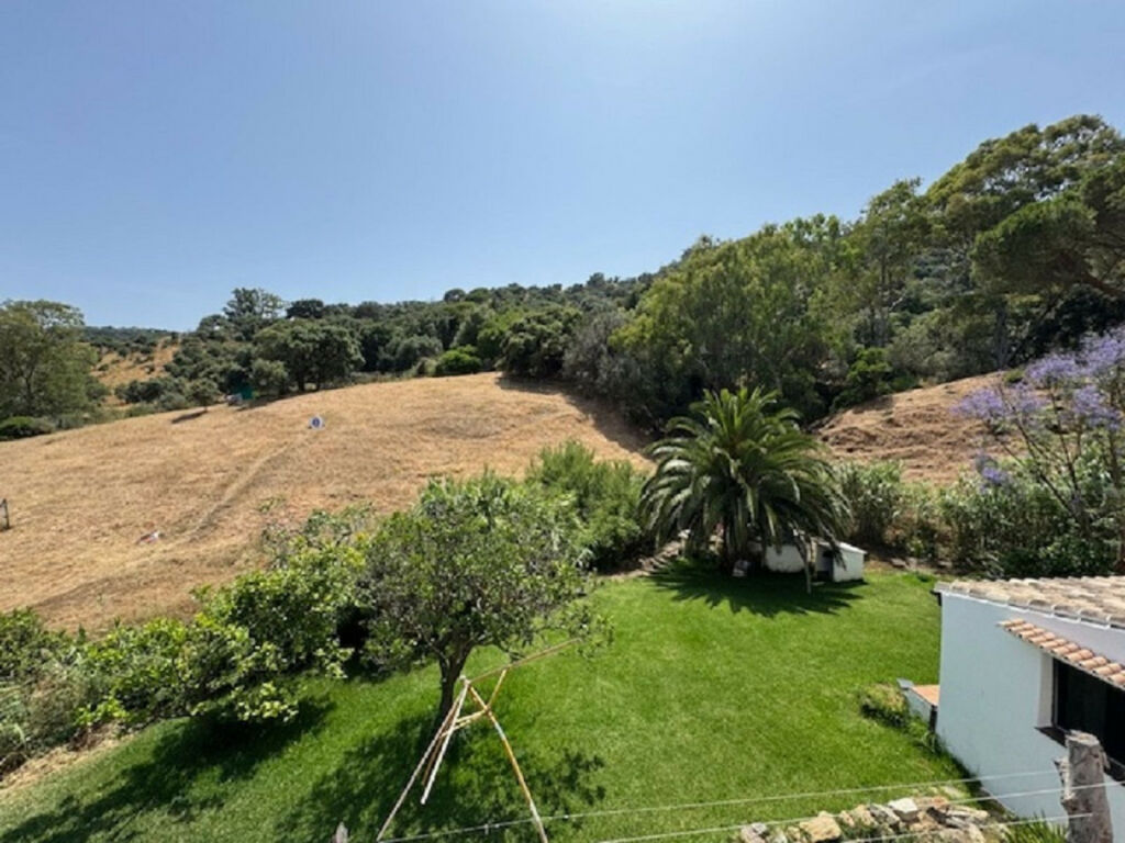 Finca - Cortijo Casares Málaga - image 29