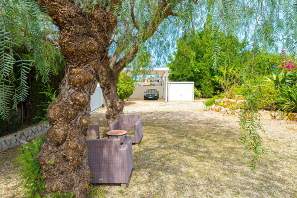 Detached Villa Denia Alicante - image 29