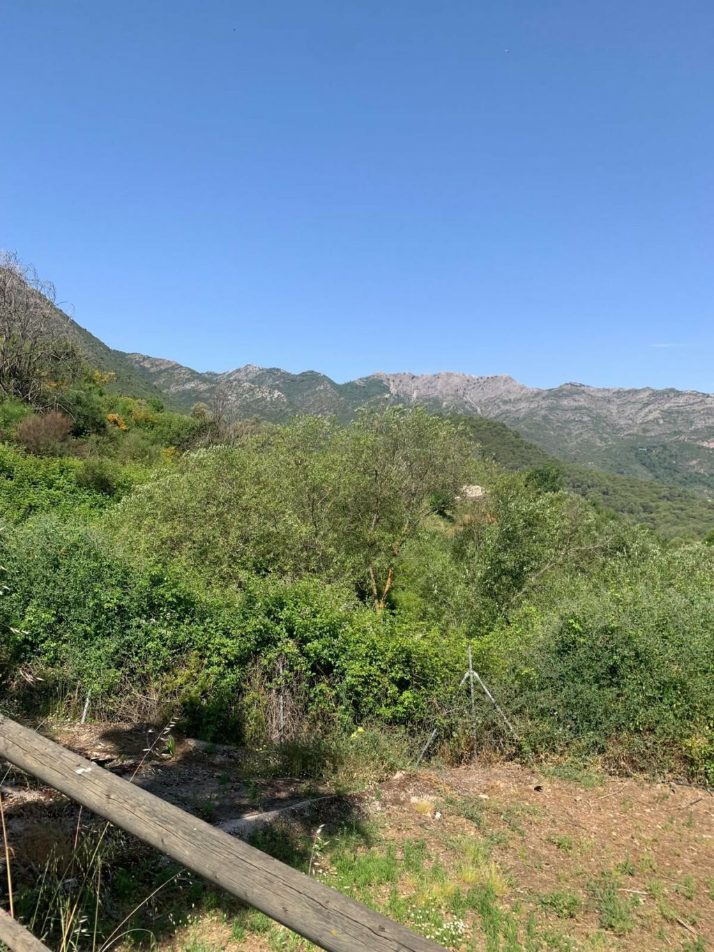 Finca - Cortijo Ojén Málaga - image 4