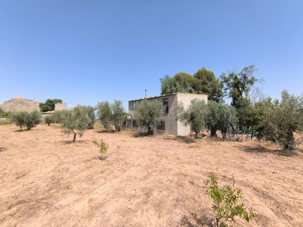 Detached Villa Jumilla Murcia - image 3