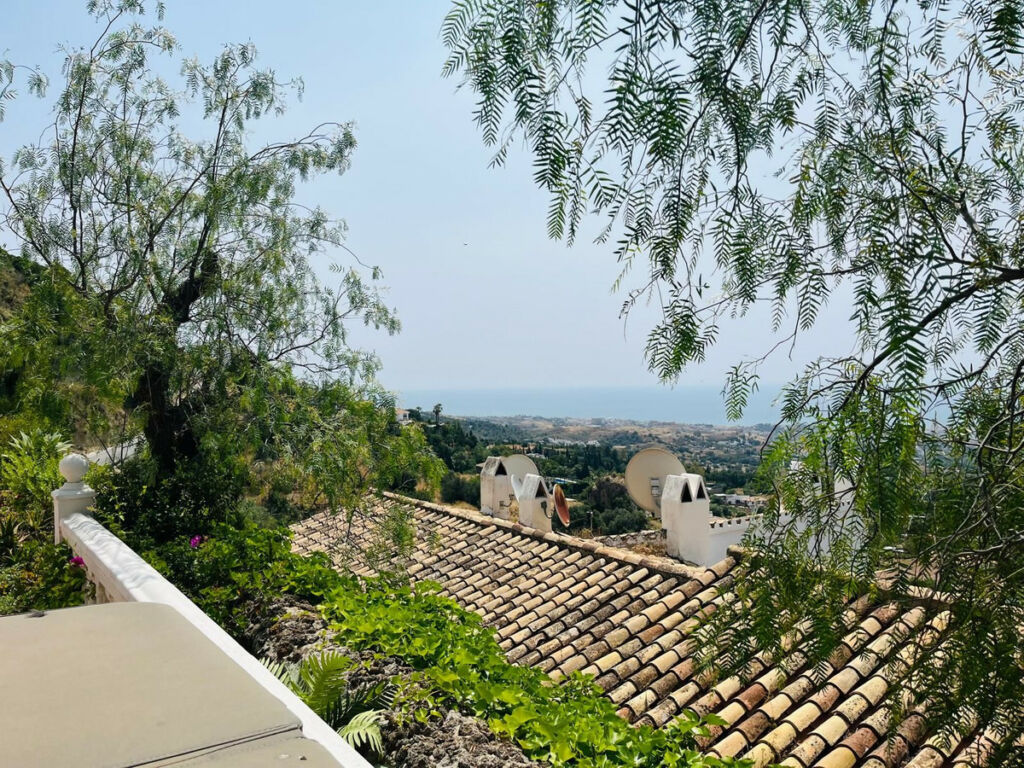 Detached Villa Mijas Málaga - image 3