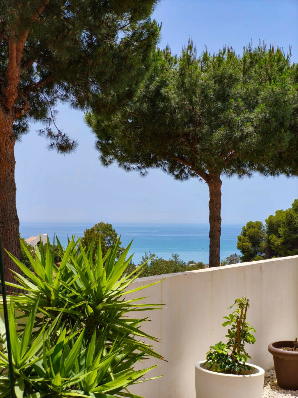 Detached Villa Benalmadena Málaga - image 5