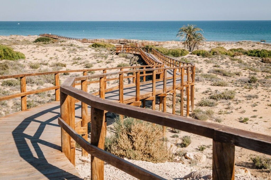 Middle Floor Apartment Arenales del Sol Alicante - image 5