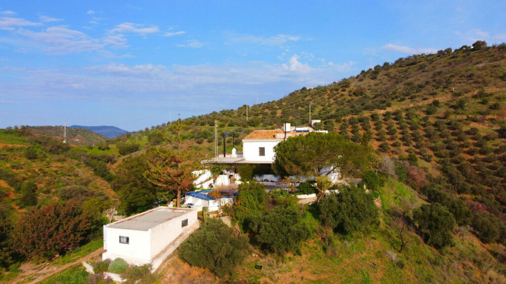 Finca - Cortijo Pizarra Málaga - image 3