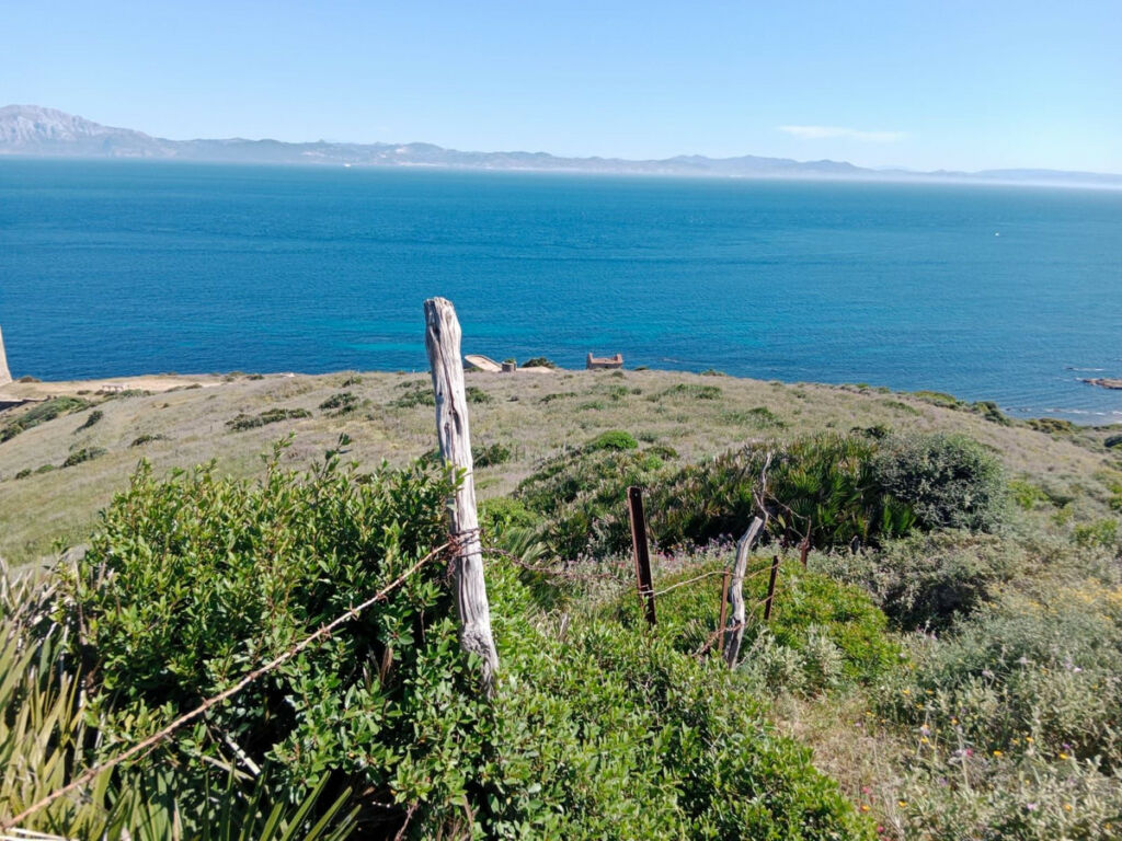 Land Tarifa Cádiz - image 3
