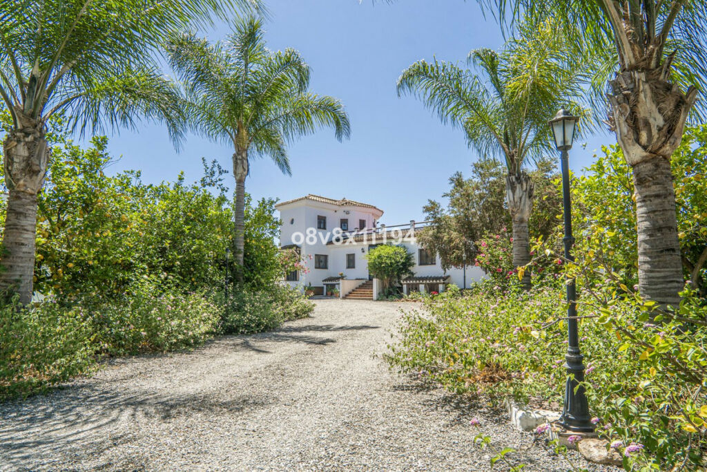 Detached Villa Cártama Málaga - image 3