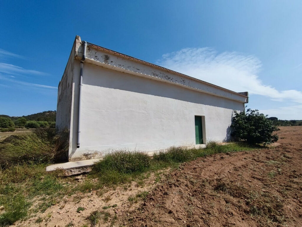 Finca - Cortijo Yecla Murcia - image 3