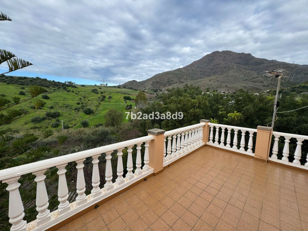 Finca - Cortijo Estepona Málaga - image 3