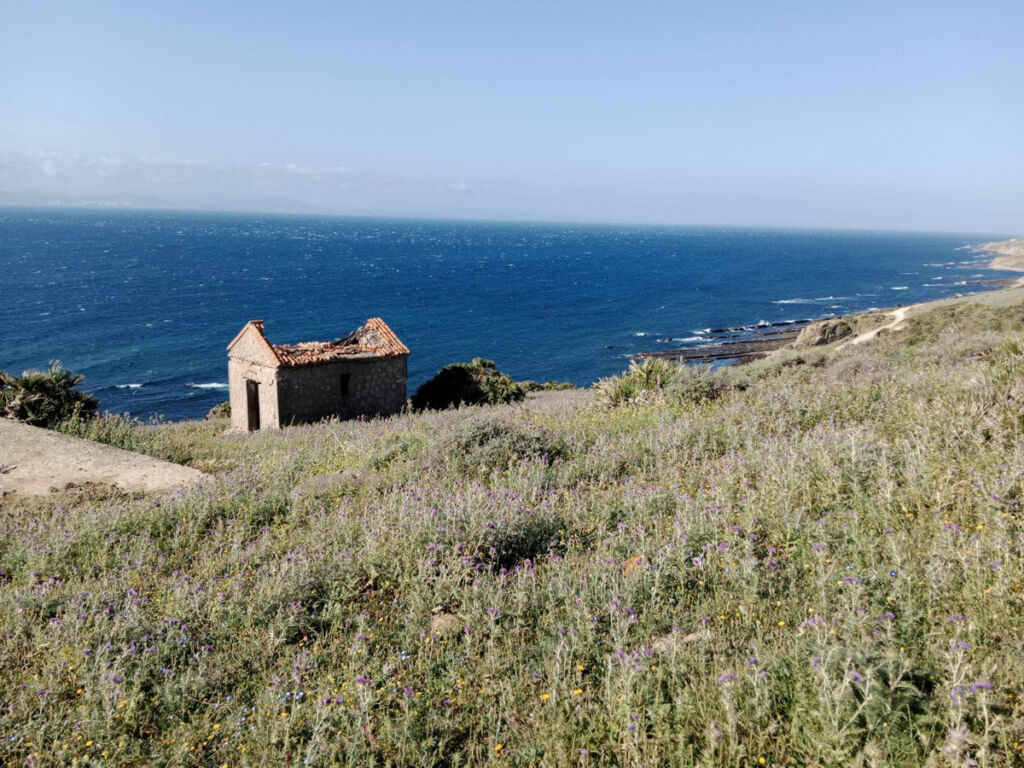 Land Tarifa Cádiz - image 7