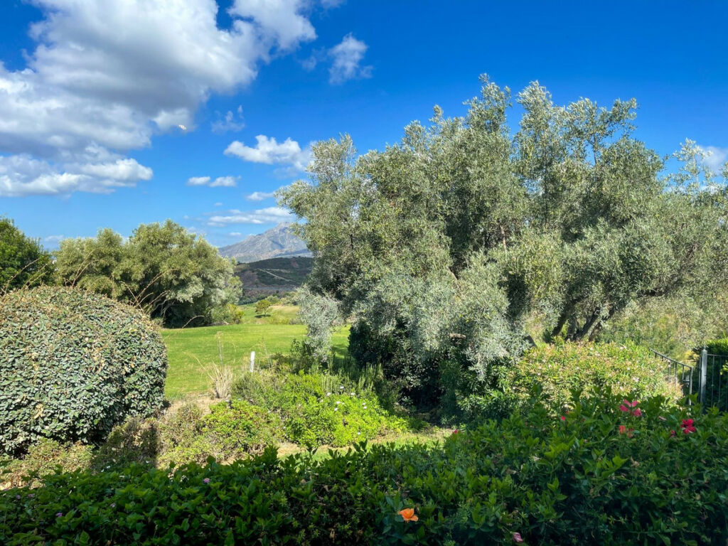 Detached Villa El Rosario Málaga - image 3