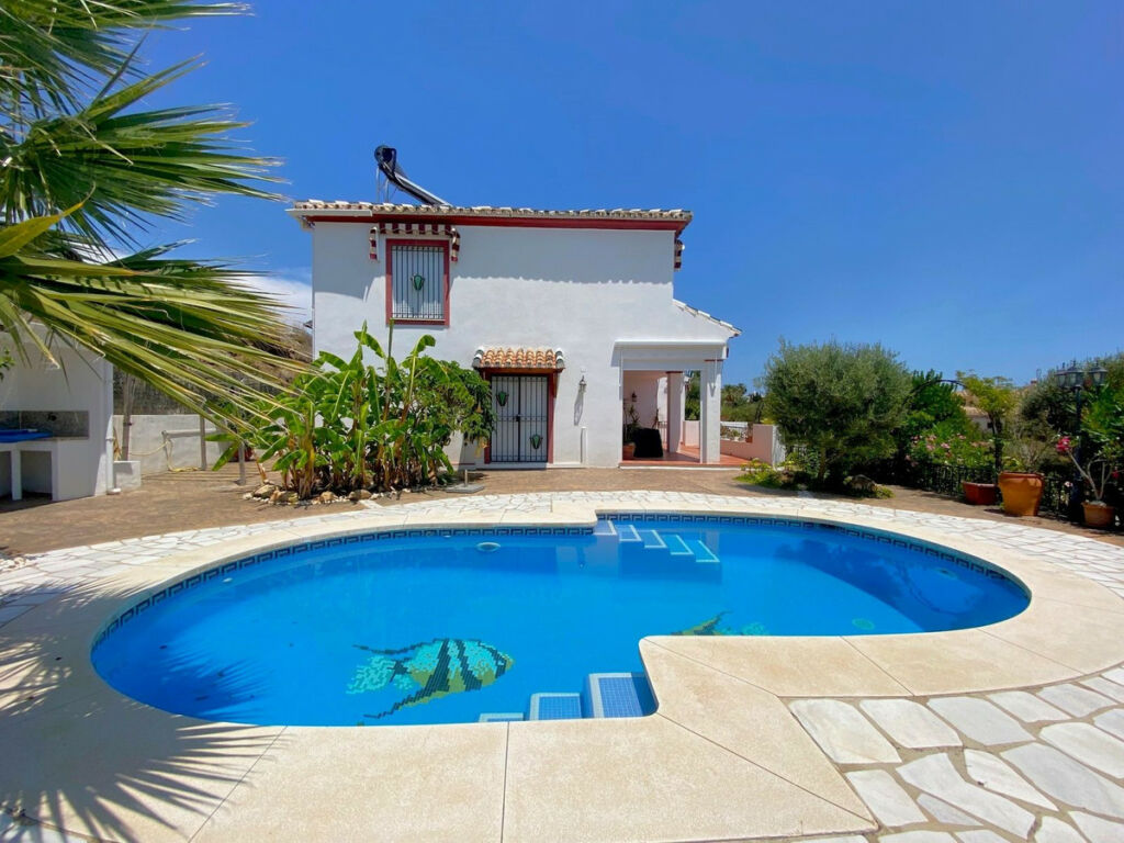 Detached Villa Calahonda Málaga - image 3