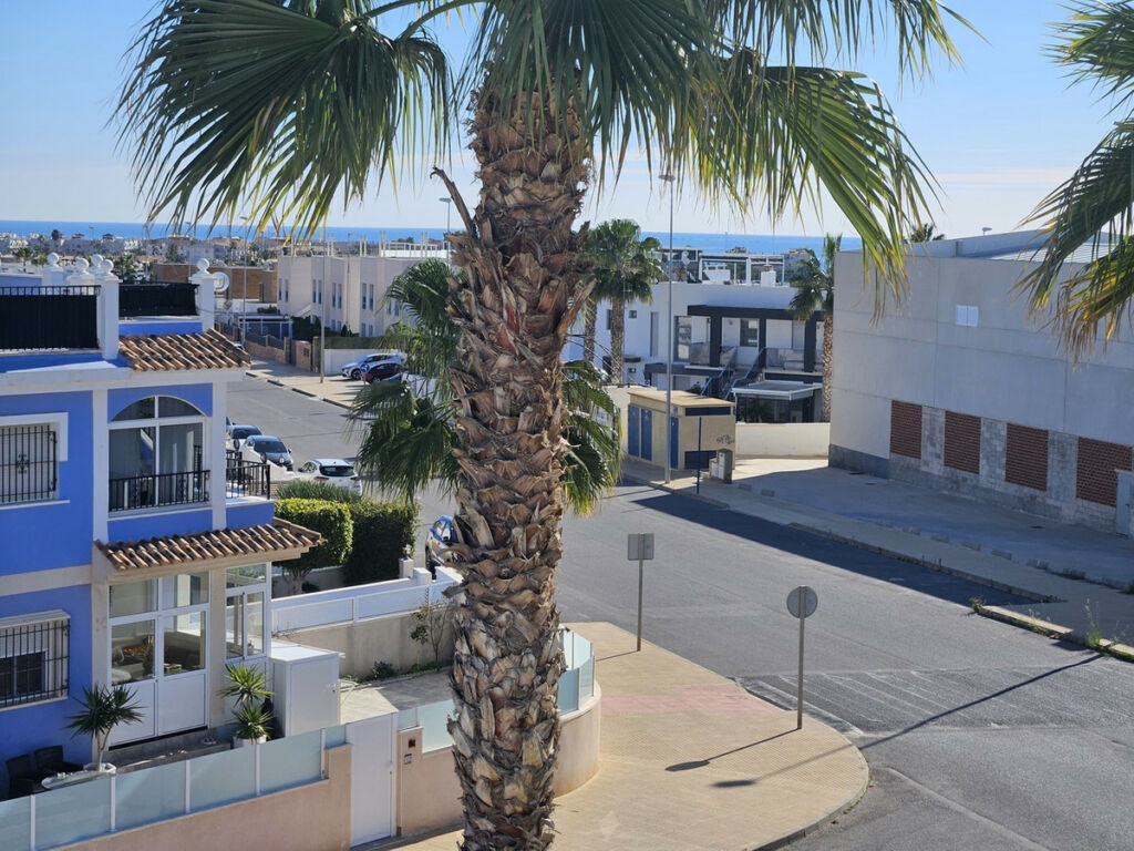 Detached Villa Cabo Roig Alicante - image 30