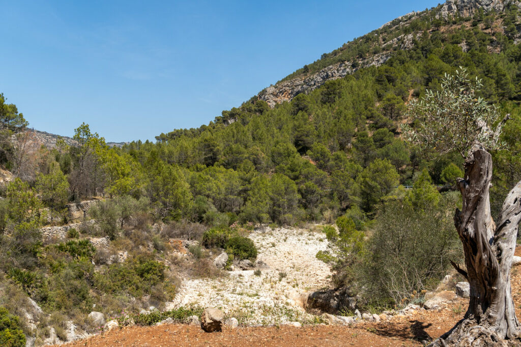 Finca - Cortijo Castell de Castells Alicante - image 30