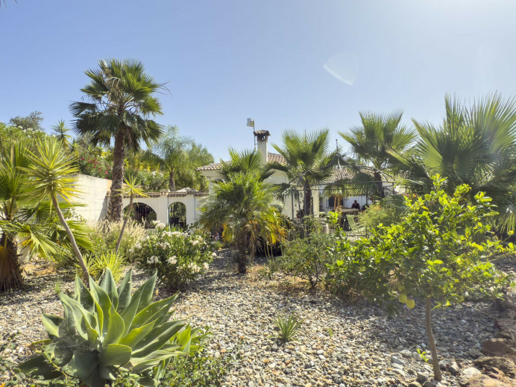 Finca - Cortijo Tolox Málaga - image 31