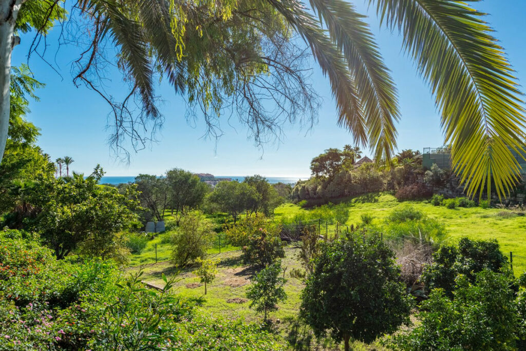 Detached Villa Nueva Andalucía Málaga - image 31