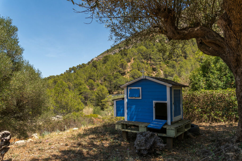 Finca - Cortijo Castell de Castells Alicante - image 33