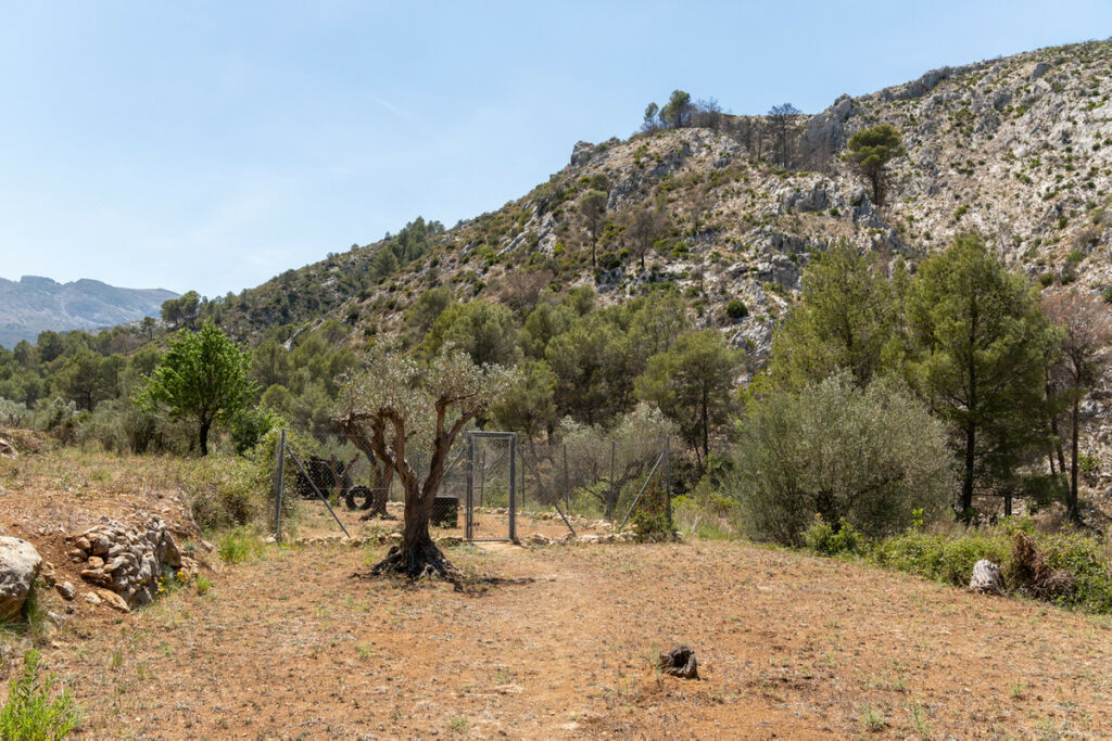 Finca - Cortijo Castell de Castells Alicante - image 34