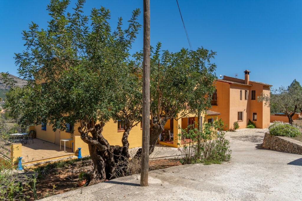 Finca - Cortijo Jalon Alicante - image 35