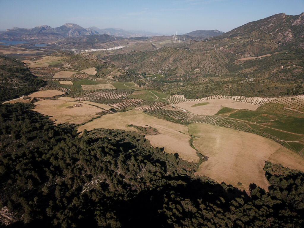 Finca - Cortijo Ardales Málaga - image 35