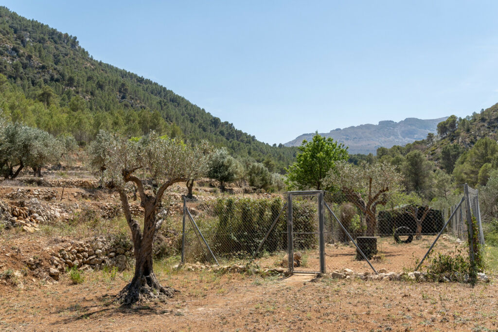 Finca - Cortijo Castell de Castells Alicante - image 35
