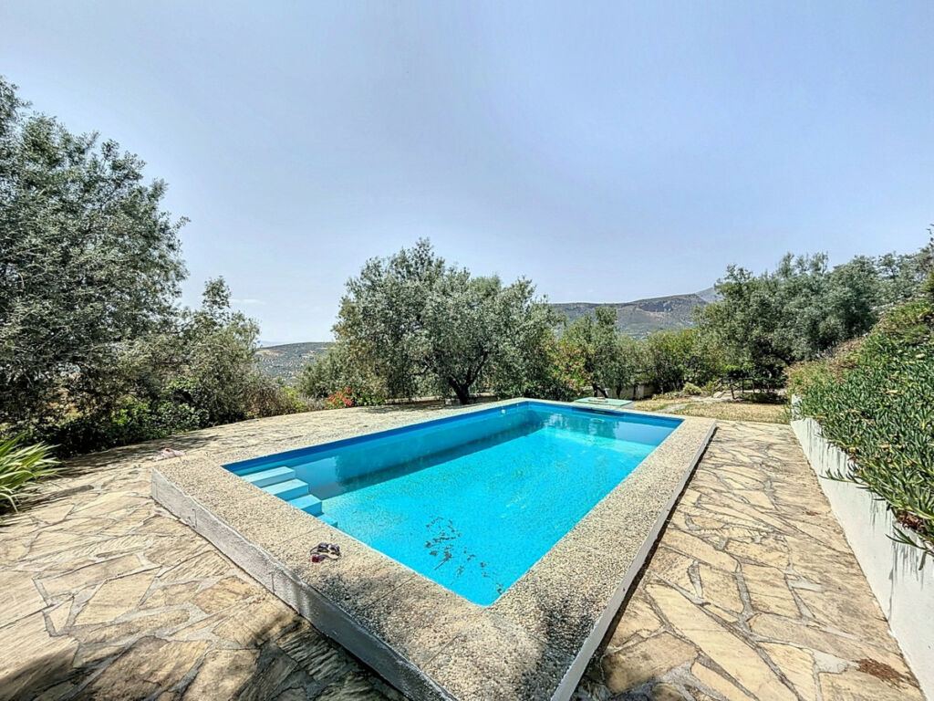 Detached Villa Alcaucín Málaga - image 36