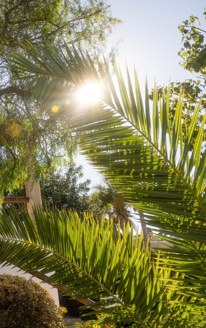 Detached Villa Javea Alicante - image 36