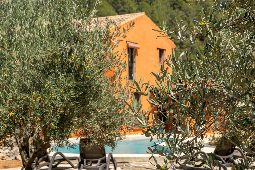 Finca - Cortijo Castell de Castells Alicante - image 36