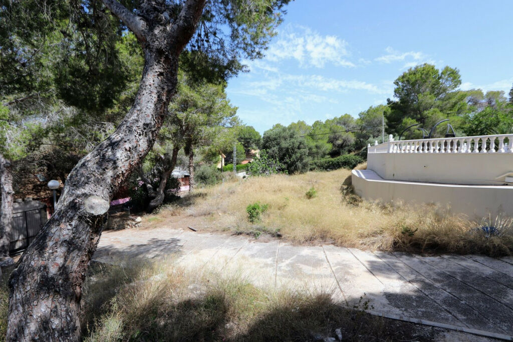 Detached Villa Cañada de San Pedro Murcia - image 36