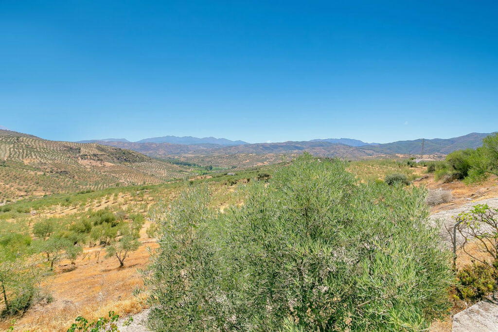 Finca - Cortijo Tolox Málaga - image 37