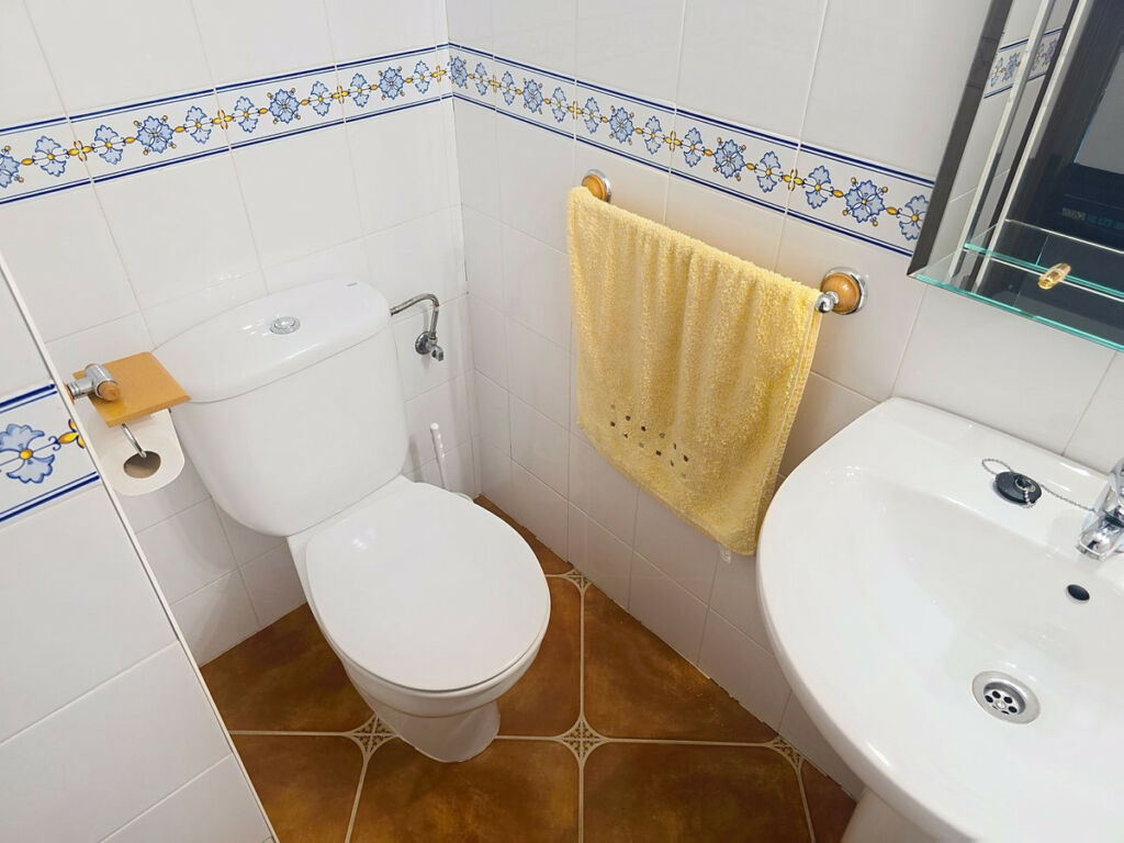 Detached Villa Cómpeta Málaga - image 37