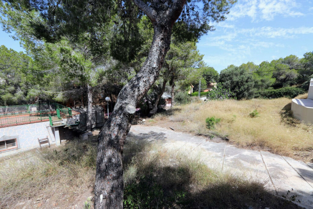 Detached Villa Cañada de San Pedro Murcia - image 37
