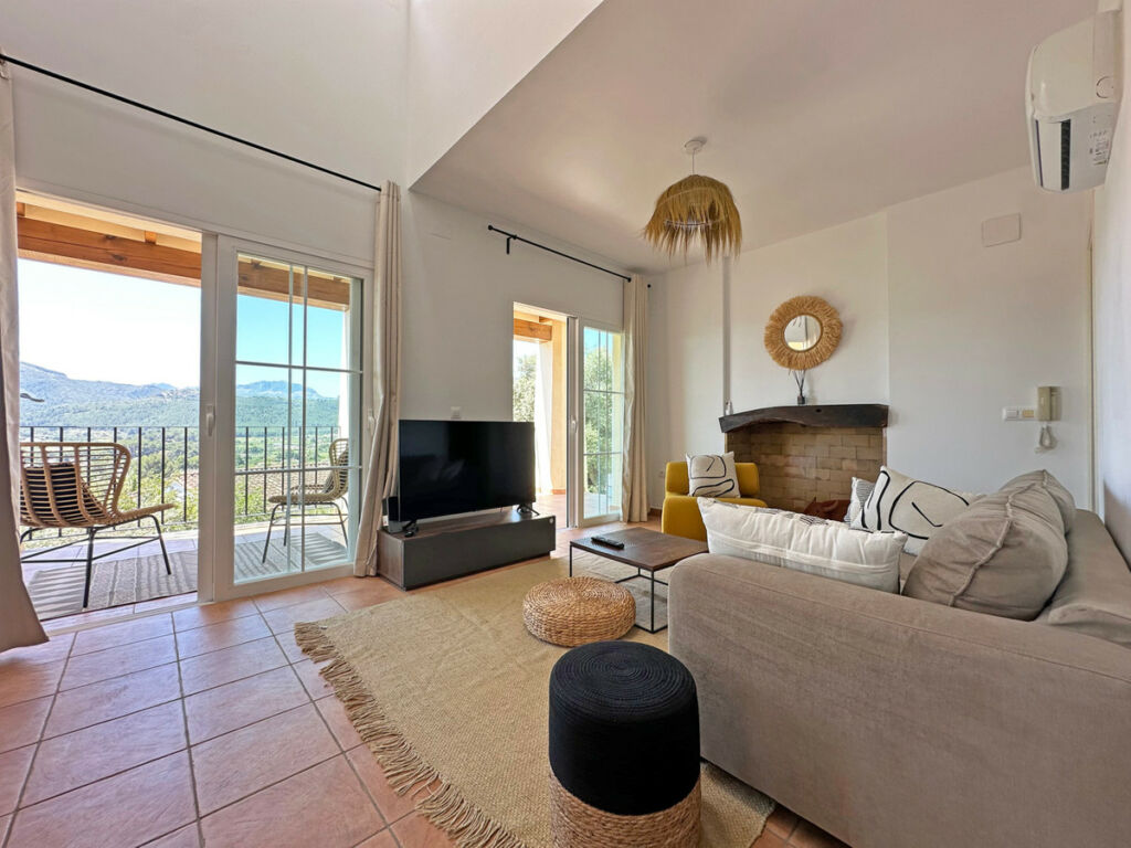 Detached Villa Jalon Alicante - image 37