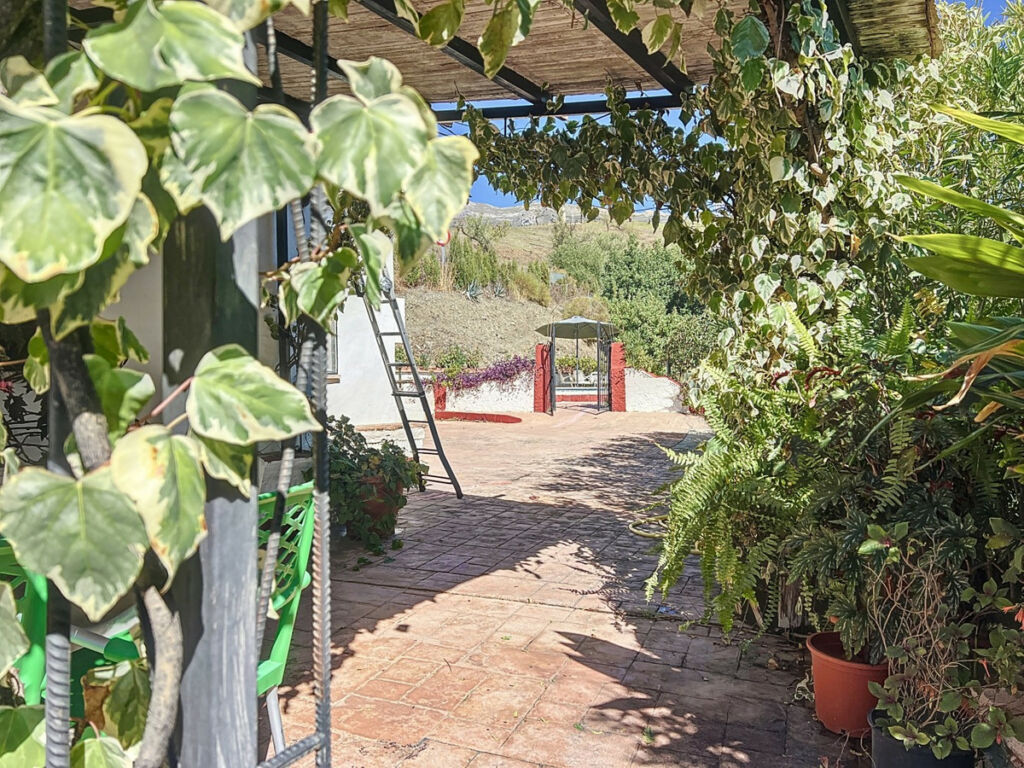 Detached Villa Sedella Málaga - image 38