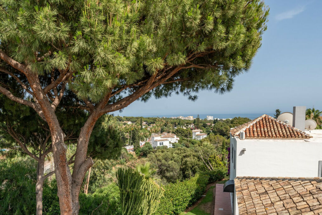 Detached Villa Calahonda Málaga - image 38