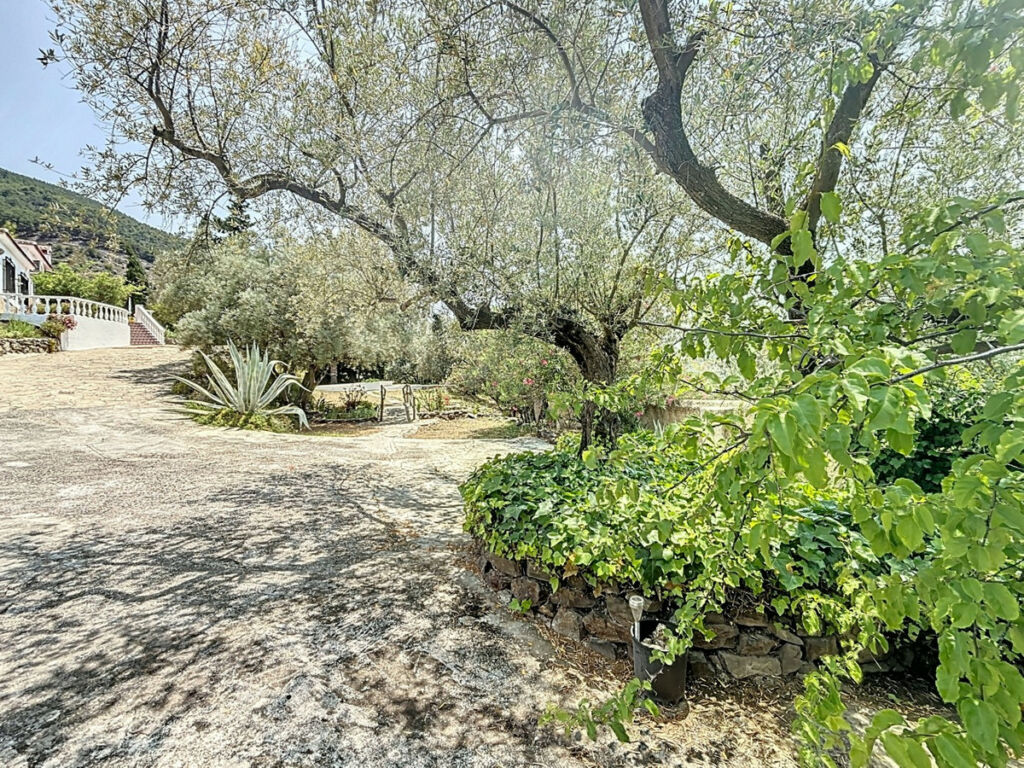 Detached Villa Alcaucín Málaga - image 39