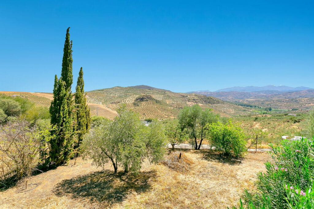 Finca - Cortijo Tolox Málaga - image 39
