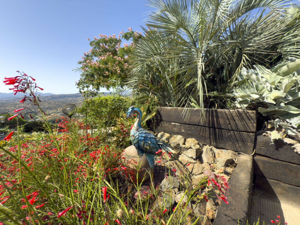 Finca - Cortijo Tolox Málaga - image 4