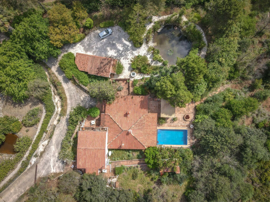 Detached Villa Coín Málaga - image 4