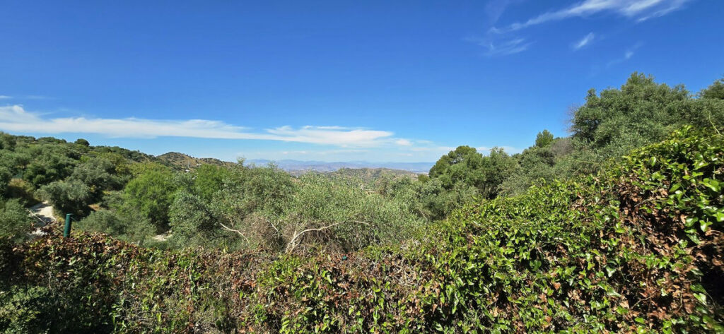 Detached Villa Monda Málaga - image 4