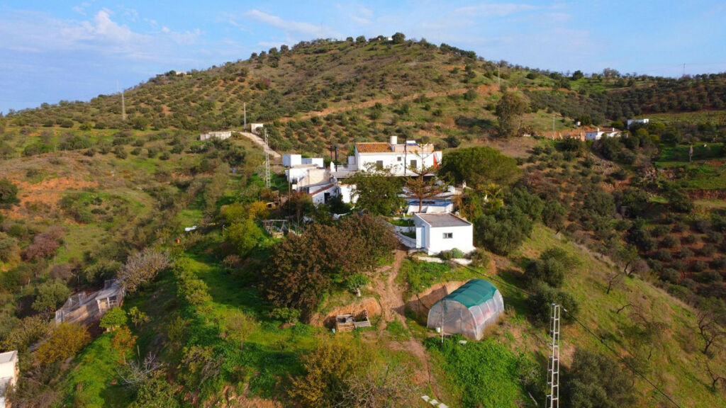 Finca - Cortijo Pizarra Málaga - image 4