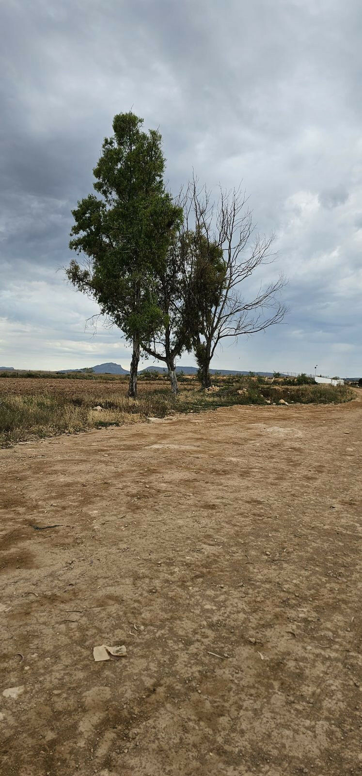 Commercial Plot Sucina Murcia - image 4