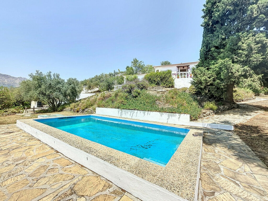 Detached Villa Alcaucín Málaga - image 4