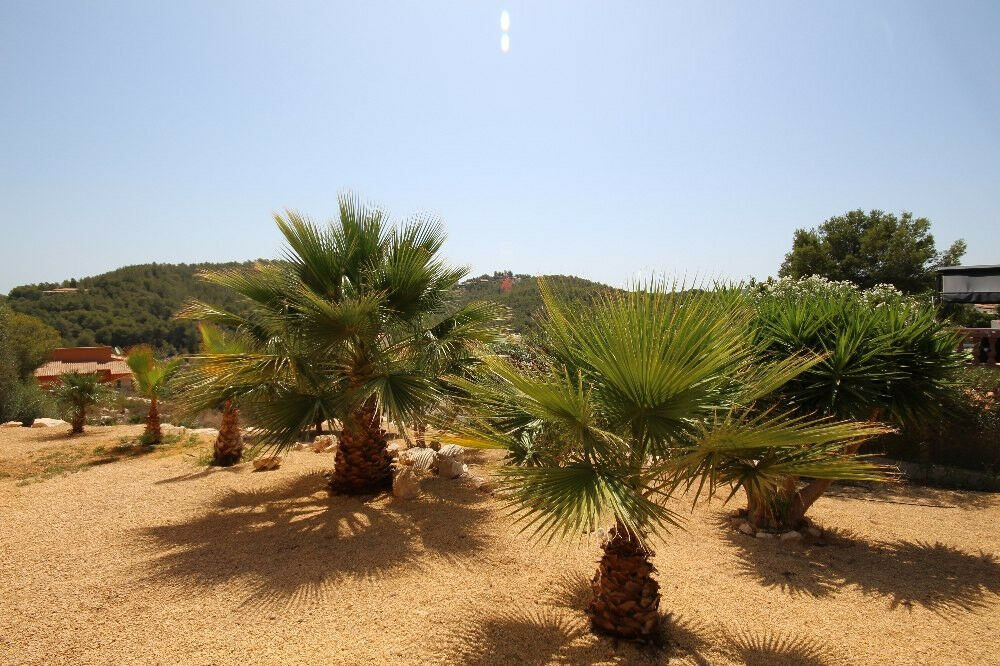 Detached Villa Javea Alicante - image 4