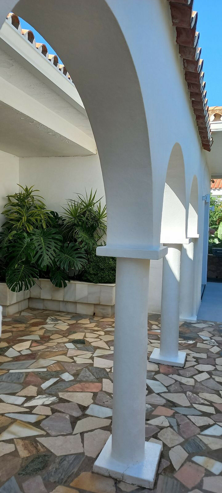 Detached Villa El Chaparral Málaga - image 37